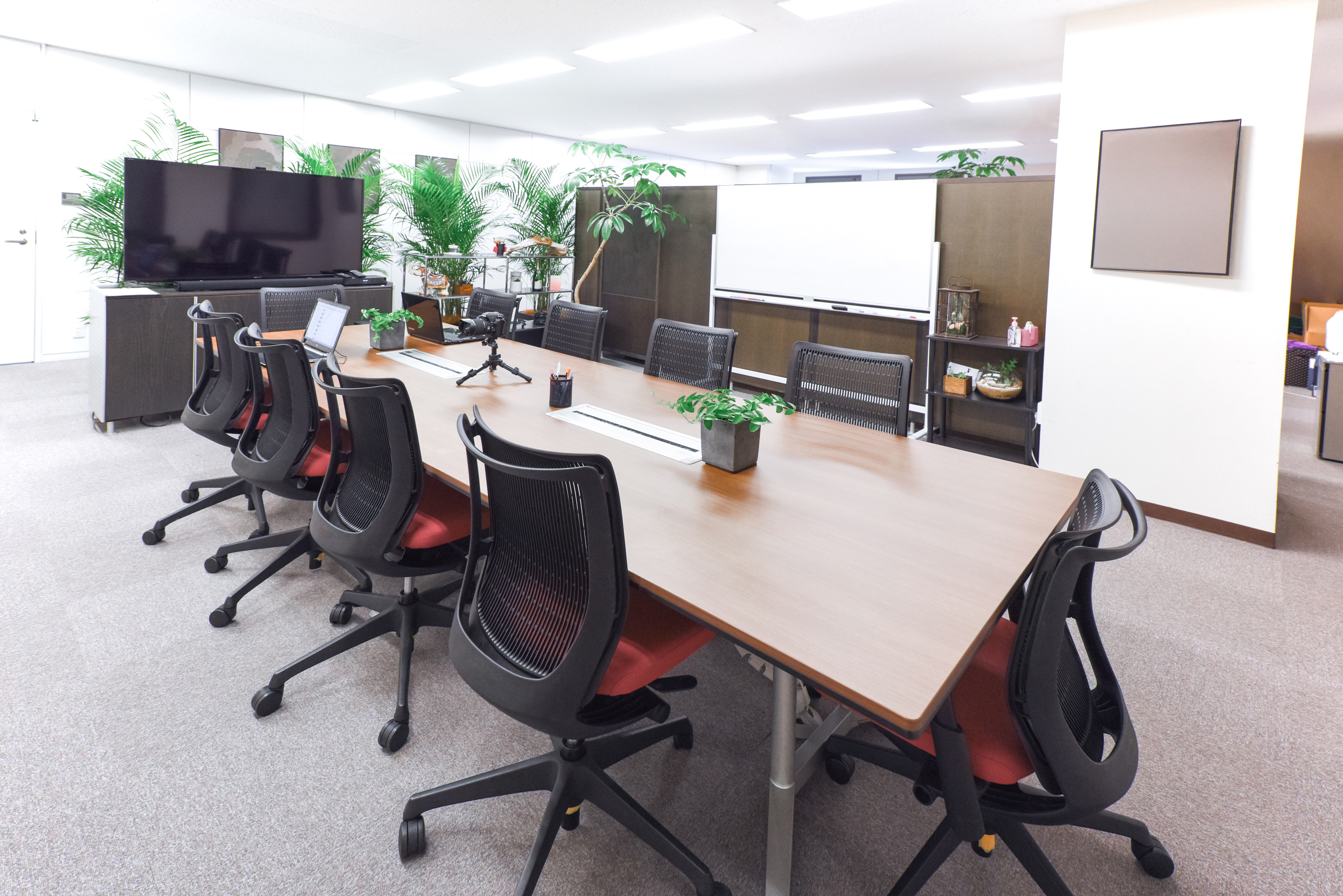 重要】当ショップからのご案内メールを正しく受信していただくための